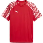 Puma Funktionsskjorte 'TeamLiga26' rød / brandrød / hvid