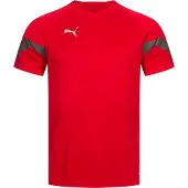 Puma Trænings T-Shirt teamFINAL - Rød/Grå, størrelse Medium