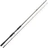 Westin W4 Powershad-t 2nd Baitcastingstang