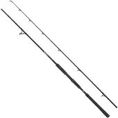 Abu Garcia Beast Pike Spinnestang