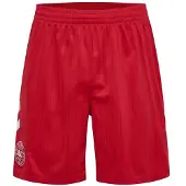 Hummel Danmark Udebaneshorts 2026/27 - , størrelse Medium