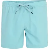 Quiksilver Everyday Solid Volley 15 Boardshorts blå