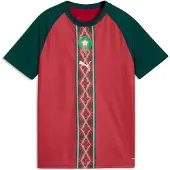 Puma Morocco Warmup Jersey Youth, Football, Dark Crimson/Dark Myrtle, 15-16Y