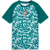 Puma Portugal 25/26 Før Kampen Junior T-shirt Med Korte ærmer