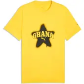 Puma Ghana ftblCulture Tee Men, Performance, Pelé Yellow/Black, M