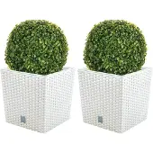 Wellhome Prosperplast 32l S Set Blomsterpotte 2 Enheder