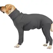 INF Heldragt til hunde - justerbart design XXL