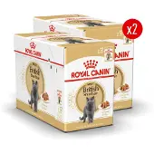 Royal Canin British Shorthair Wet - 24 x 85 g