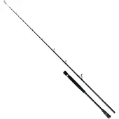 Colmic Naxos Casting Jigging Stang