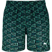 Puma 's Swim Short Men, Clothing, Petrol Green, L