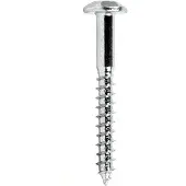 Cofan Sikkerheds-torx-skrue 7x60 Mm 100 Enheder
