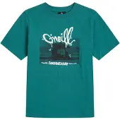 O'Neill Shirts 'Slub' mørkegrøn / perlehvid