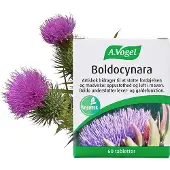 A. Vogel Boldocynara Tabletter 60 tabl.