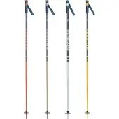 Rossignol Stove Spadserestokke 20 Par