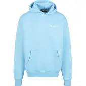 Dropsize Sweatshirt lyseblå