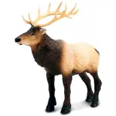 Safari Ltd Moose Figur