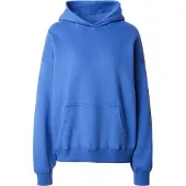 Hollister Sweatshirt royalblå