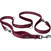 Company of animals Halti Anatomy Dog Hundesnor