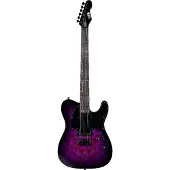 ESP Guitars ESP LTD TE-200DX Purple Burst