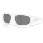 Oakley Belleville Solbriller