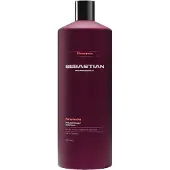 Sebastian Penetraitt Rescue Repair Shampoo