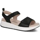 Caprice Sandal, black, made of Leather without heel, Size 37