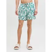 Jack & Jones Badeshorts 'JPSTMaui' mint / pastelgrøn / hvid