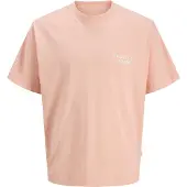 Jack & Jones Back Printet T-shirt Boys