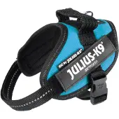 JULIUS K-9 Idc Power Mini Hundeseletøj