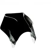 Puig Raptor Kawasaki Z900rs Se 2025 Sportslig Forrude