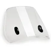 Puig Trafic Vespa Gtv 300 2025 Forrude