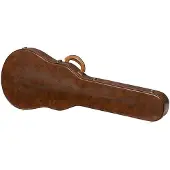 Gibson Lifton Historic "5-Latch" Brown/Pink Hardshell Case Les Paul Aged