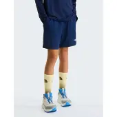 The North Face Poly Knit Shorts