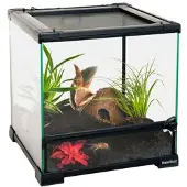 HabiStat Glas Terrarium Gennemsigtigt