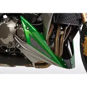 Bodystyle BUGSPOILER ** FZS 1000 FAZER ULAK.