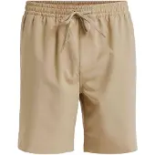 Quiksilver Badeshorts 'TAXER AM' mørkebeige