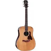 Taylor Guitars Taylor Gold Label 710e