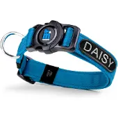 My Family Memopet Id Personalizable Hundehalsbånd