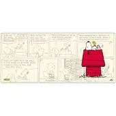 Grupo Erik Snoopy Musemåtte