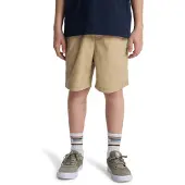 Quiksilver Taxer Shorts