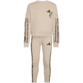 Adidas Træningsdragt kit / taupe / sort