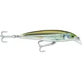 Rapala X-rap Saltwater Minnow 22g 120 Mm