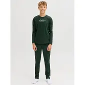Jack & Jones Junior Joggingdragt gran / hvid