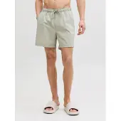 Jack & Jones Badeshorts 'JPSTMaui' pastelgrøn