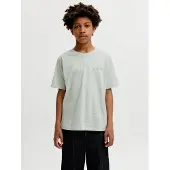 Jack & Jones Junior Shirts siv / pastelgrøn / hvid