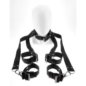 Sir Richards COMMAND Hogtie & Collar Set