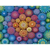 Ravensburger - Strålande Rainbow Mandalas - 2000 Piece Jigsaw Puzzle - Bold Vivid Colors - Intrikade målade stenar i Rainbow Art - Frameble - Pre