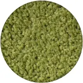 Rugsx TÆPPER hjul ETON grønt cirkel 100 cm