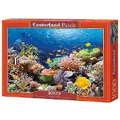 Castorland " Coral Reef Fishes Puzzle (1000 stykke)