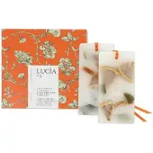 Pure Living Lucia - Scented Wax Tablets-Green Orange & Oak Moss